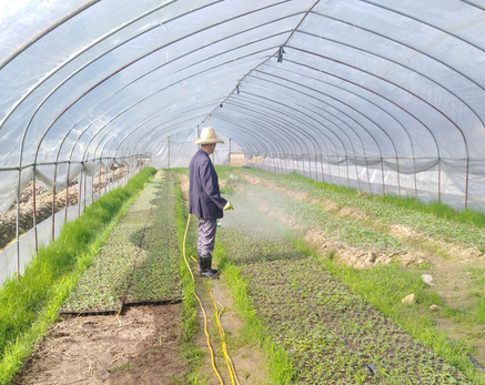 郴州蓮山莊園,郴州生態(tài)山莊,郴州原生態(tài)休閑農(nóng)業(yè)莊園,郴州鄉(xiāng)村旅游