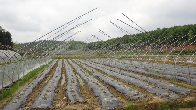 郴州蓮山莊園,郴州生態(tài)山莊,郴州原生態(tài)休閑農(nóng)業(yè)莊園,郴州鄉(xiāng)村旅游